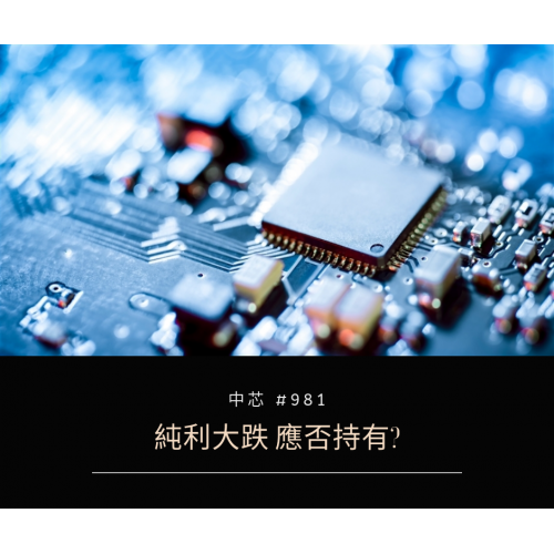 【中芯國際 #981 — 遲來的業績分析】